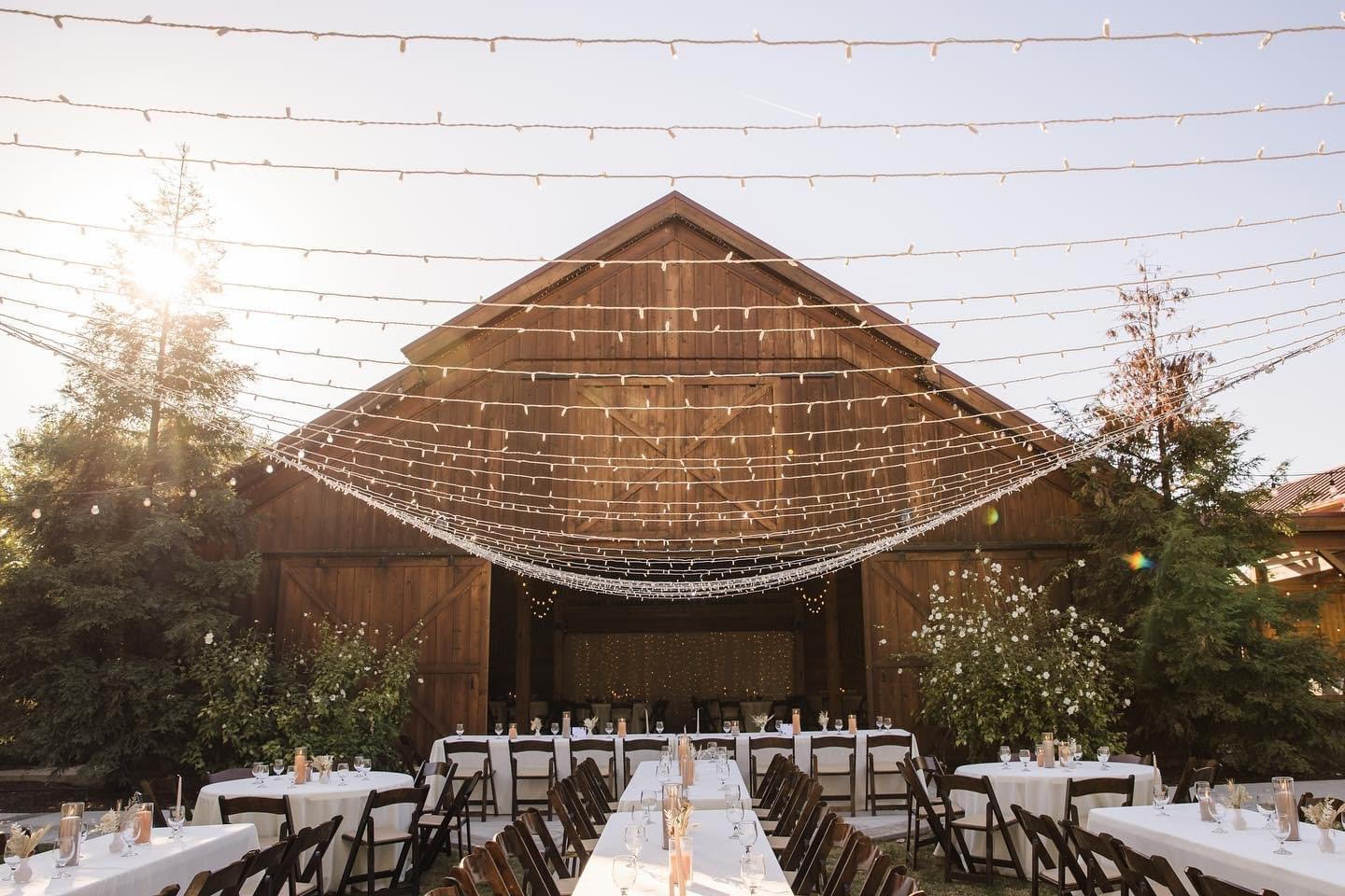 A view of an outdoor reception at Grace Barn. A string light curtain is hanging over as a ceiling.